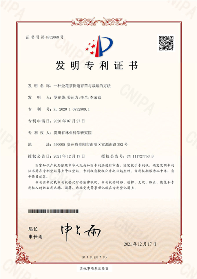 一种金花茶快速育苗与栽培的方法.jpg