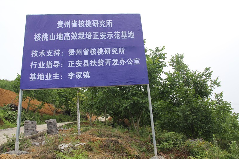 正安示范基地 (1)_副本.jpg