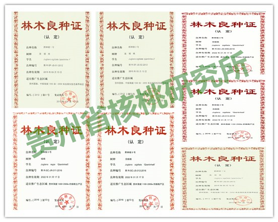 黔林核良种证_副本.jpg
