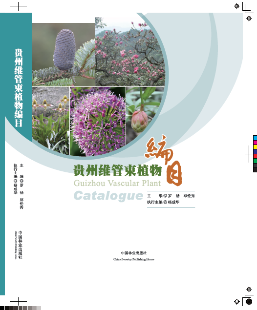 lALPBbCc1dig2ofNAnvNAg4_526_635.png