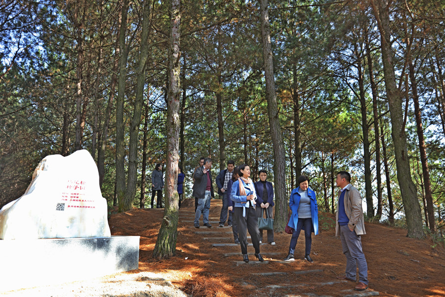 3D5A6168.JPG