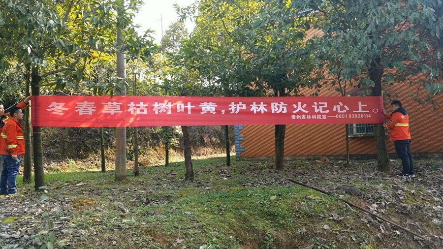 222.jpg