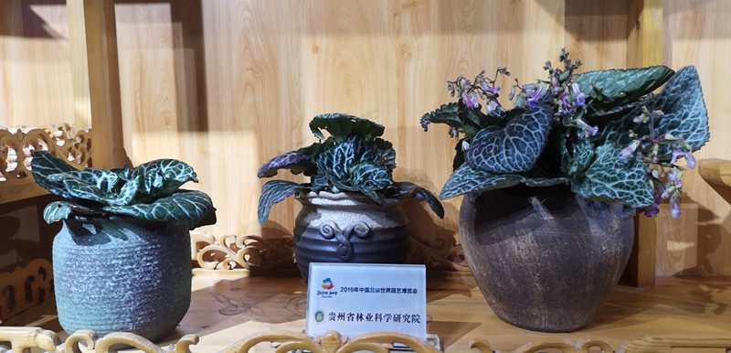 微信图片_20190430085749.jpg