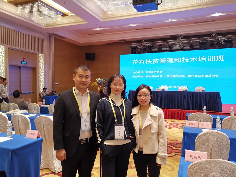 lADPDeC2ul_ab_PNC6DND4A_3968_2976_副本.jpg