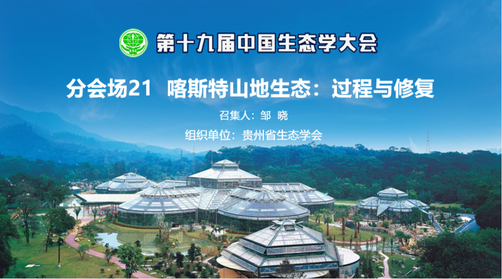 lALPGn4hfDZ8ee_NAiDNA9Q_980_544_副本.png
