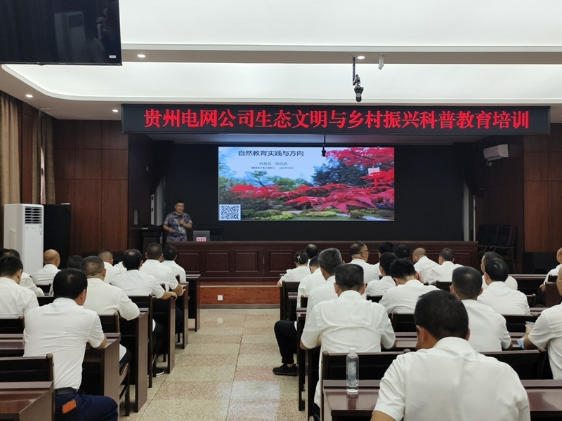 图片1_副本.jpg