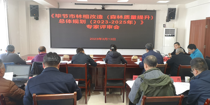 图片1_副本.jpg