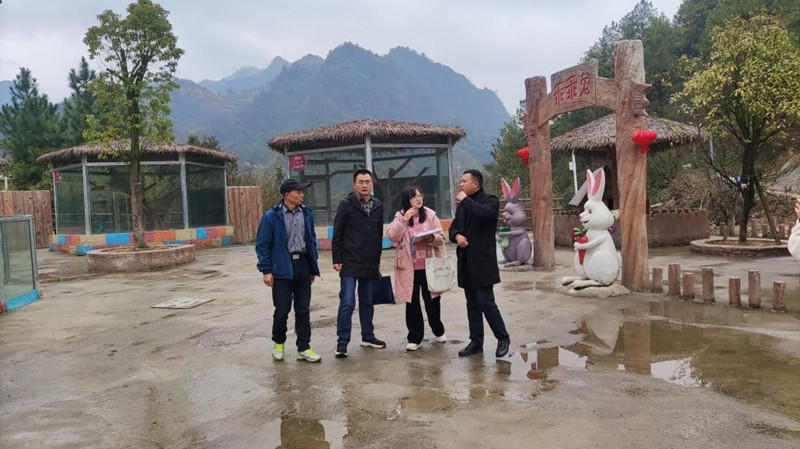 图片3_副本.jpg