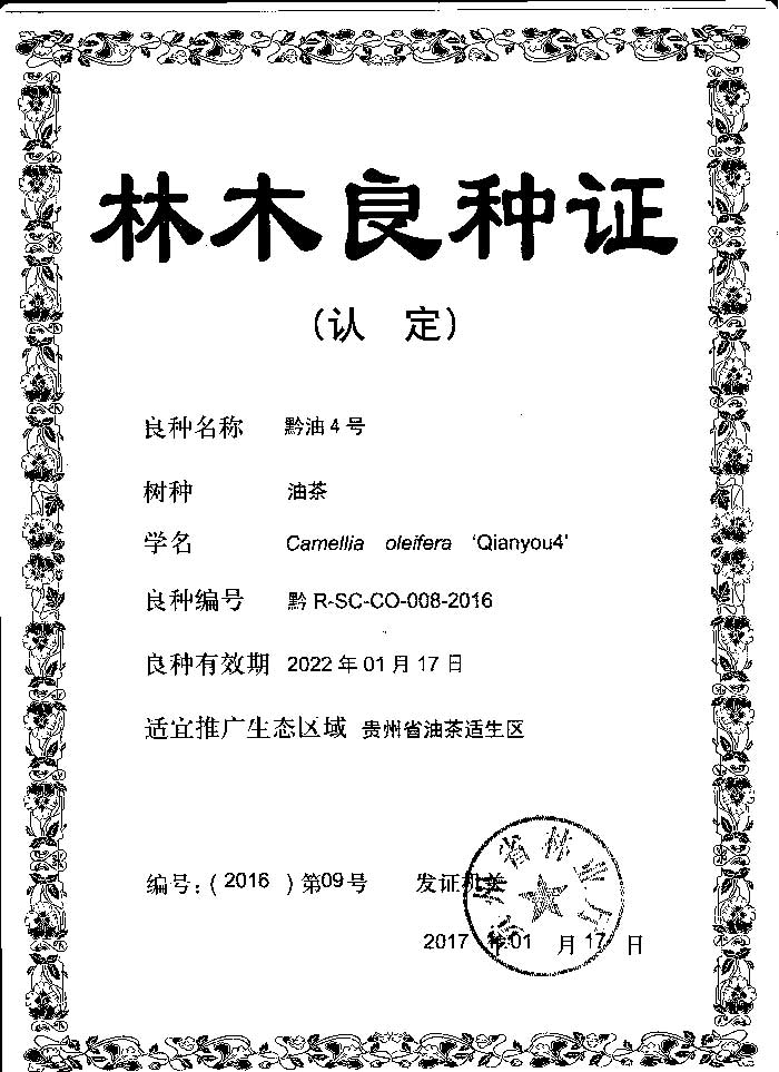 黔油4号良种证.jpg