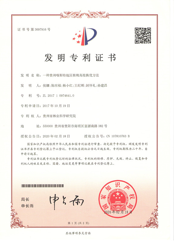 31-一种贵州喀斯特地区核桃高枝换优方法_页面_1.jpg